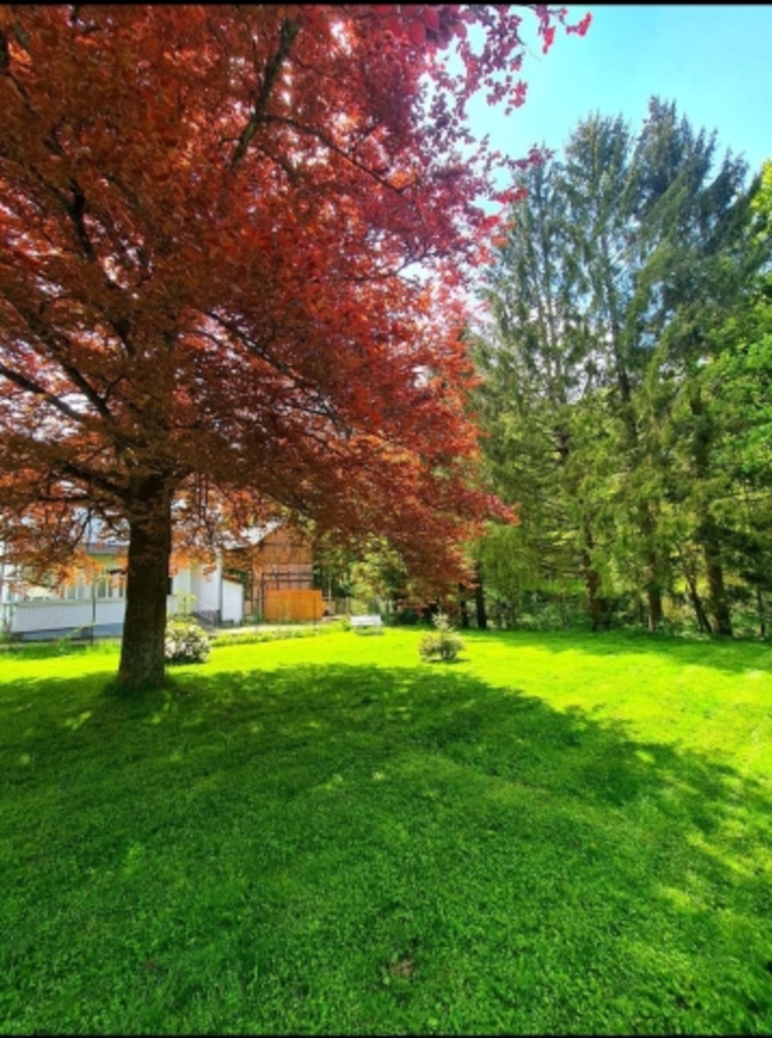 Garten rechts vom Haus. 700qm extra hoch eingezäunt mit direktem Zugang zur Oker.