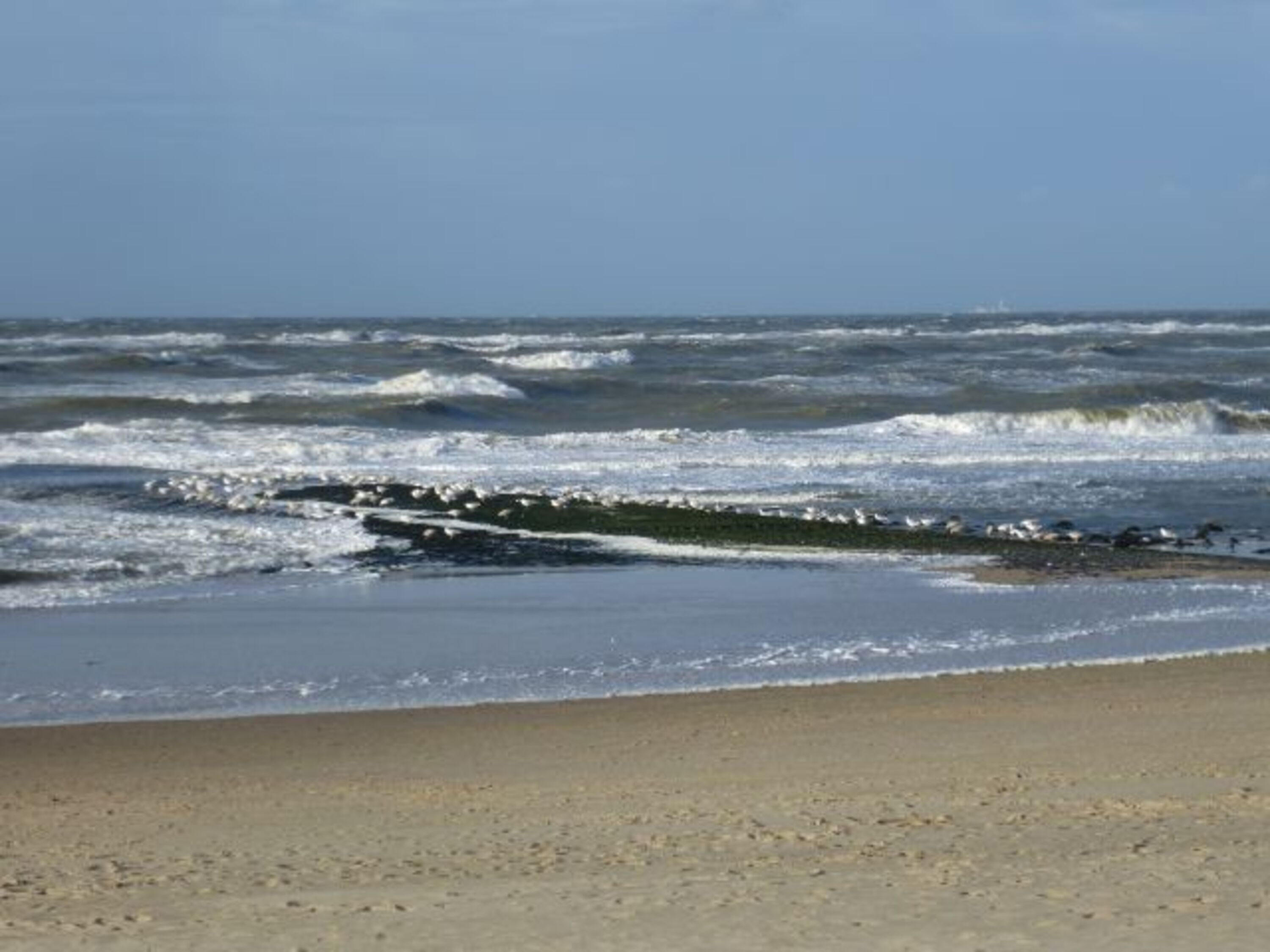 Bild 23