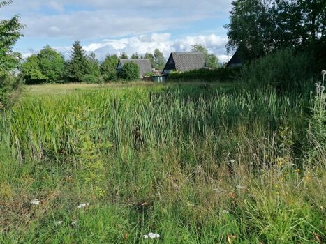 Die Umgebung des Feriendorfes