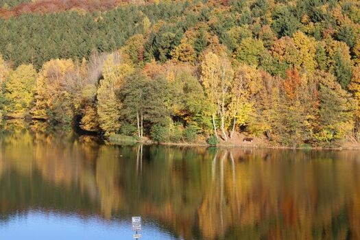 Freilinger See fußläufig erreichbar