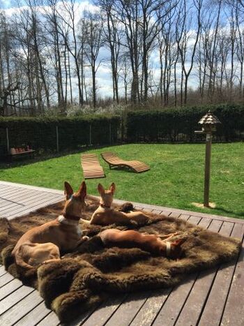 Aussicht genießen auf der Terrasse