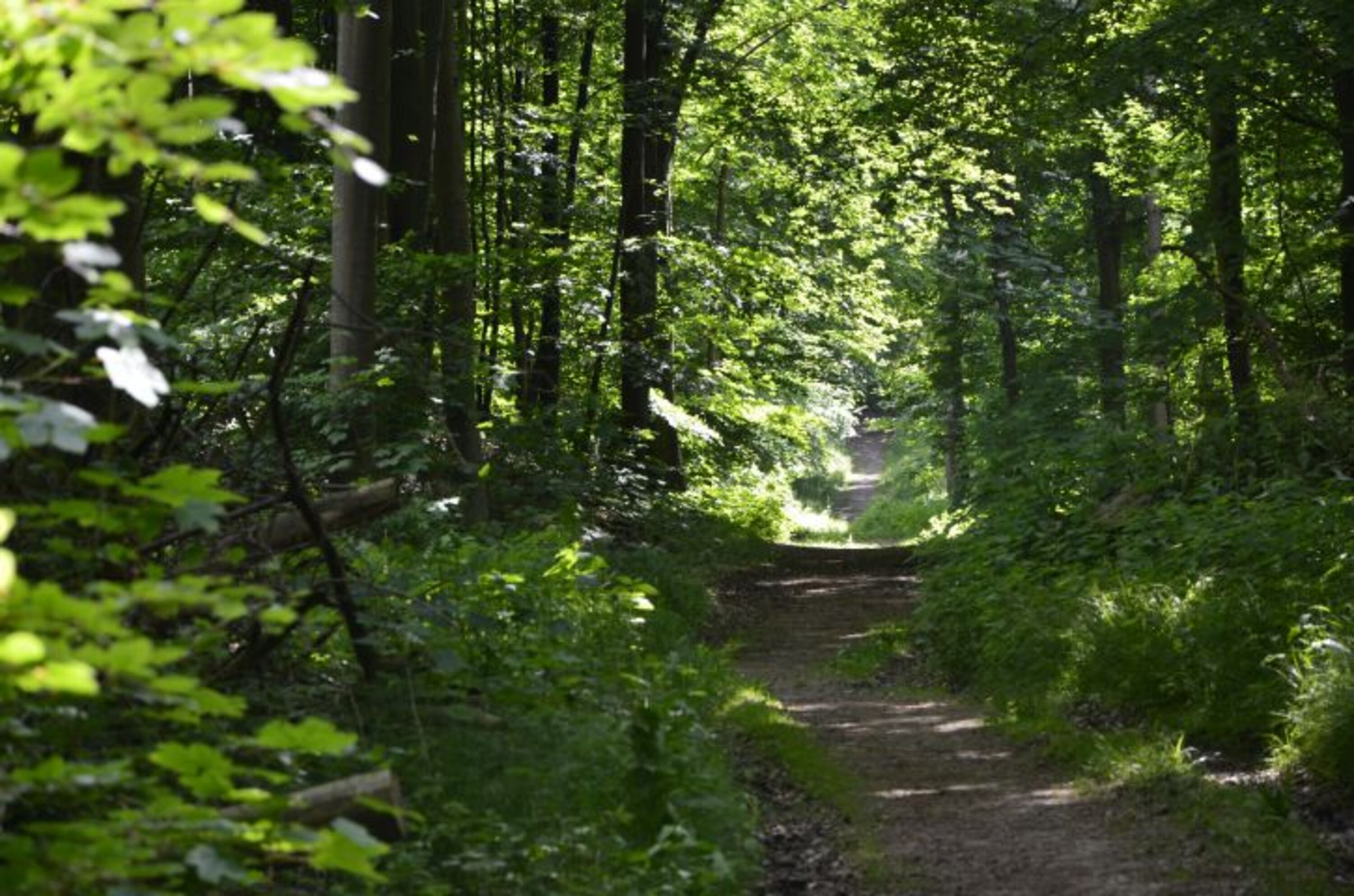 Bild 17