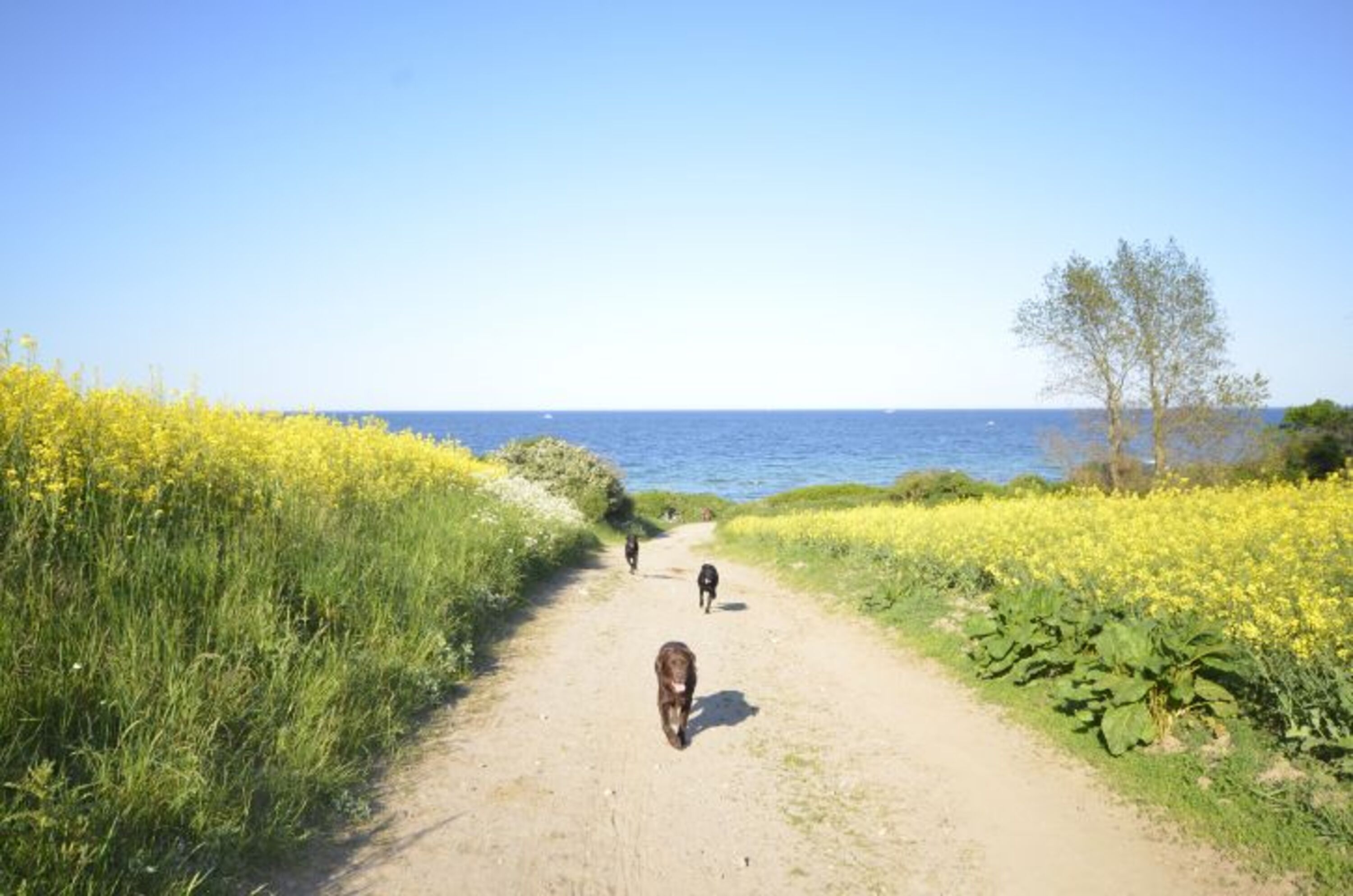 Bild 18