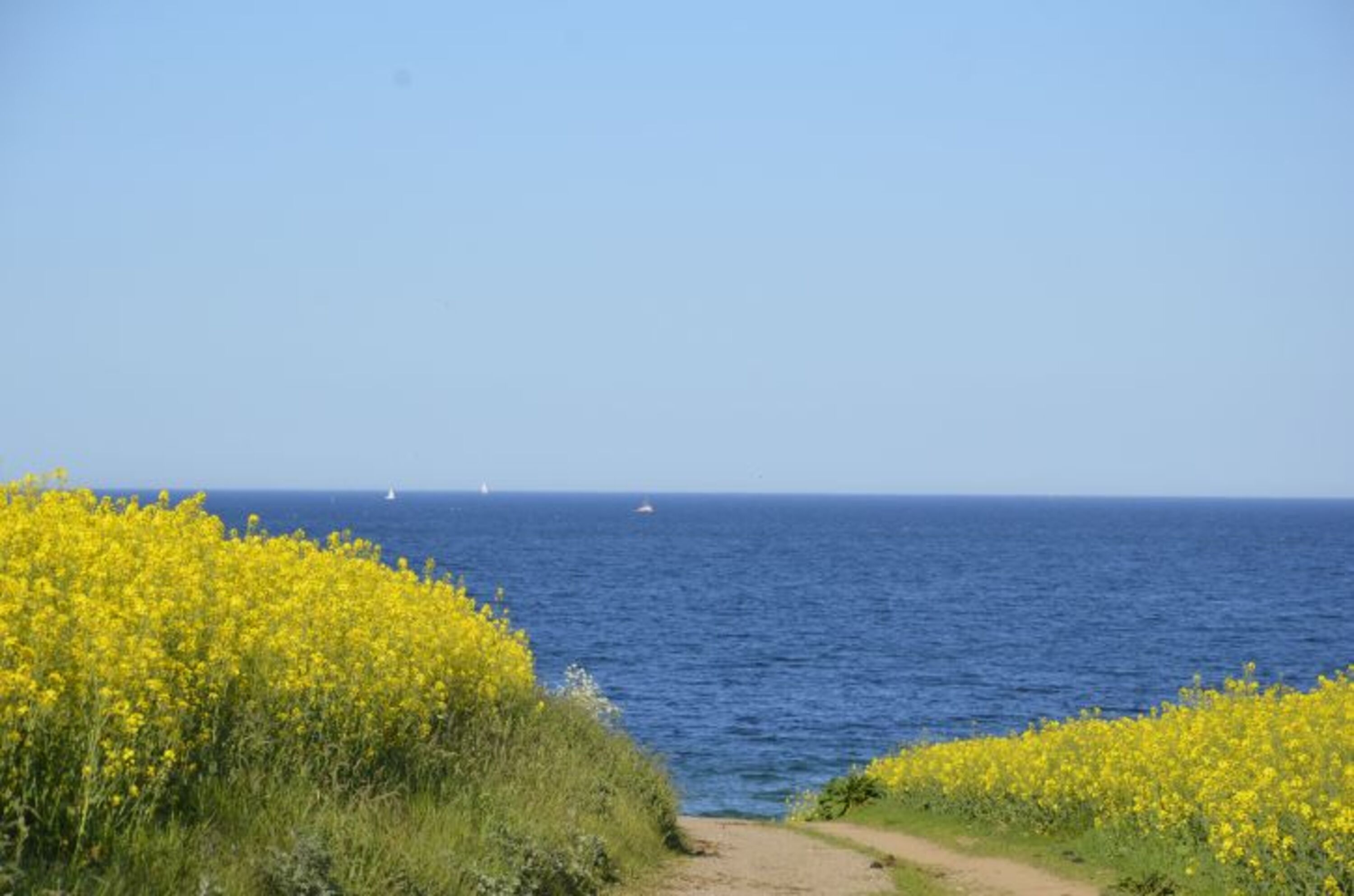 Bild 16