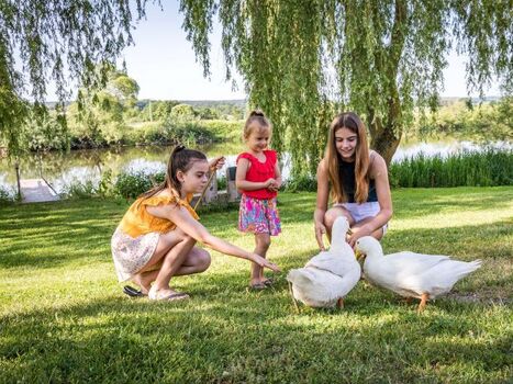 Urlaub am Regen, Oberpfälzer Wald