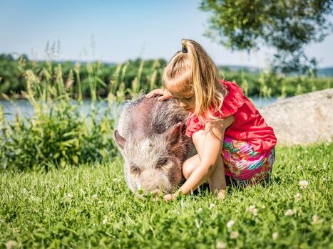 Urlaub am Regen, Oberpfälzer Wald