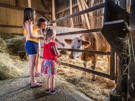 Urlaub am Regen, Oberpfälzer Wald