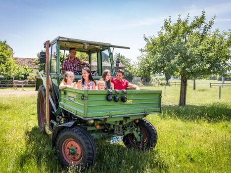 Urlaub am Regen, Oberpfälzer Wald