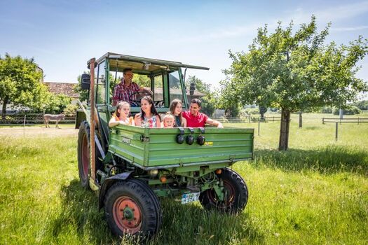 Urlaub am Regen, Oberpfälzer Wald