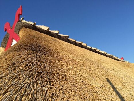 Rügentypisch - Boje 1 unter Reet