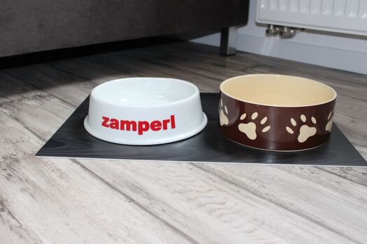 Zamperl : bay. für Hund