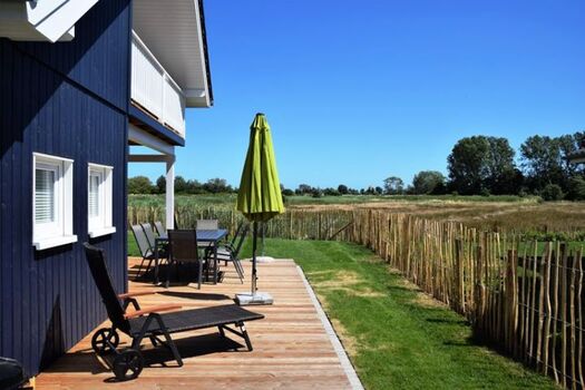 Blick Terrasse Kegelrobbe