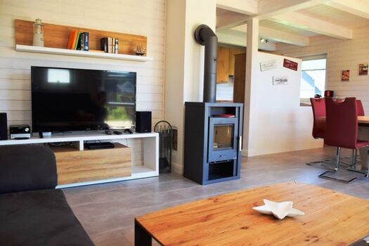 Blick Wohnbereich Kegelrobbe