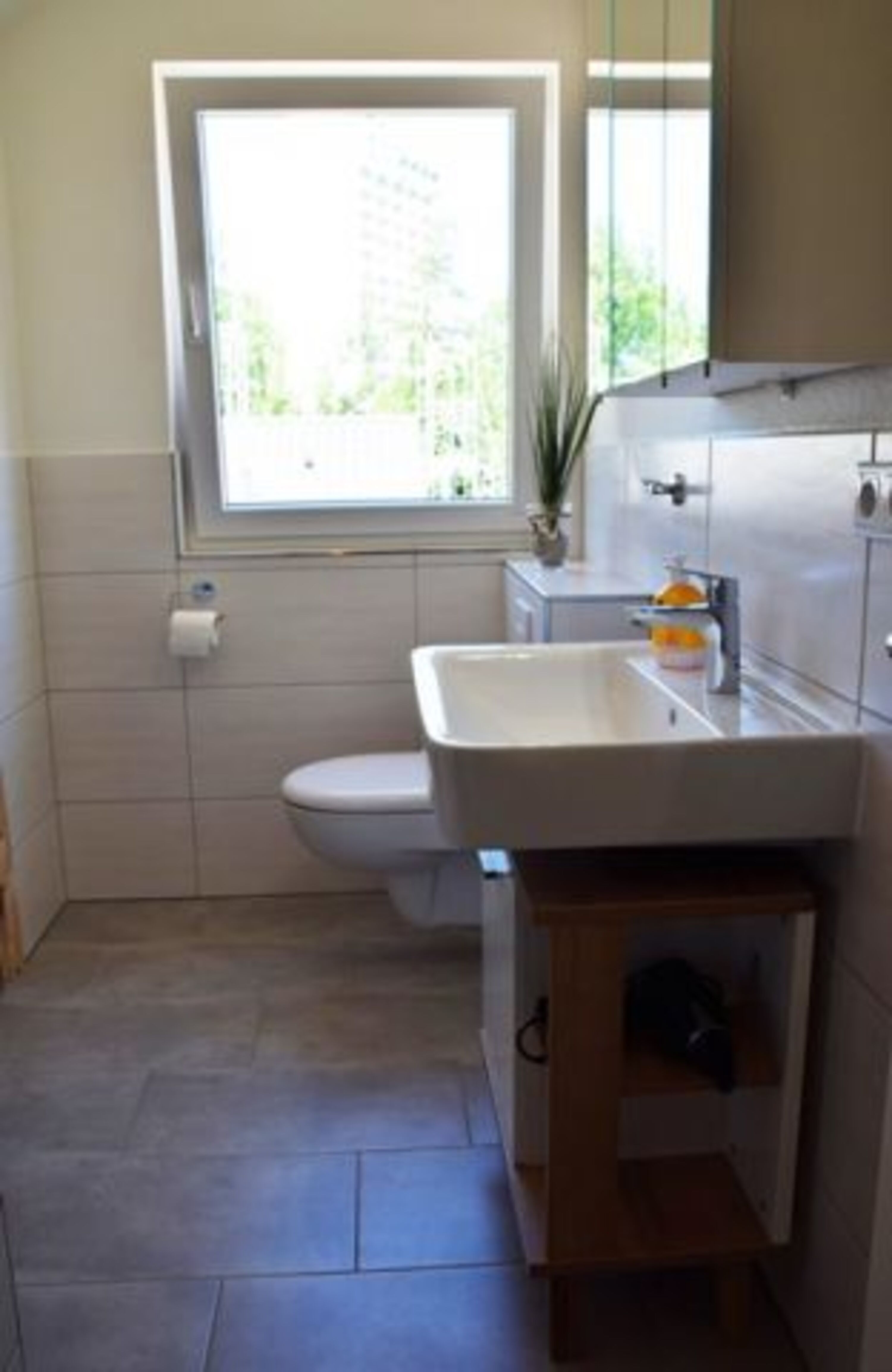 Duschbad I Kegelrobbe
