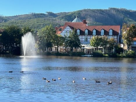 Ilsenburg Forellenteich (auch für Angler geeignet)