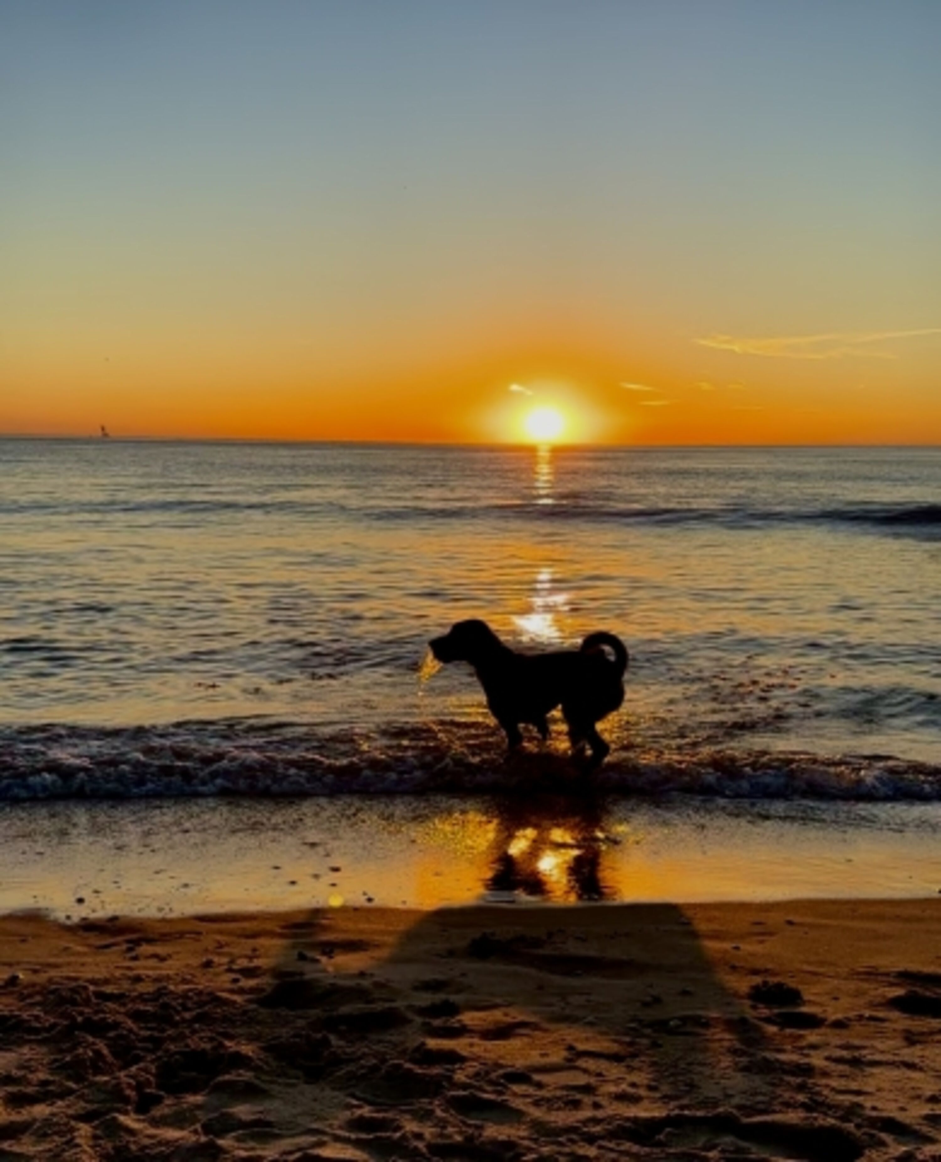 Am Strand Sonnenuntergang