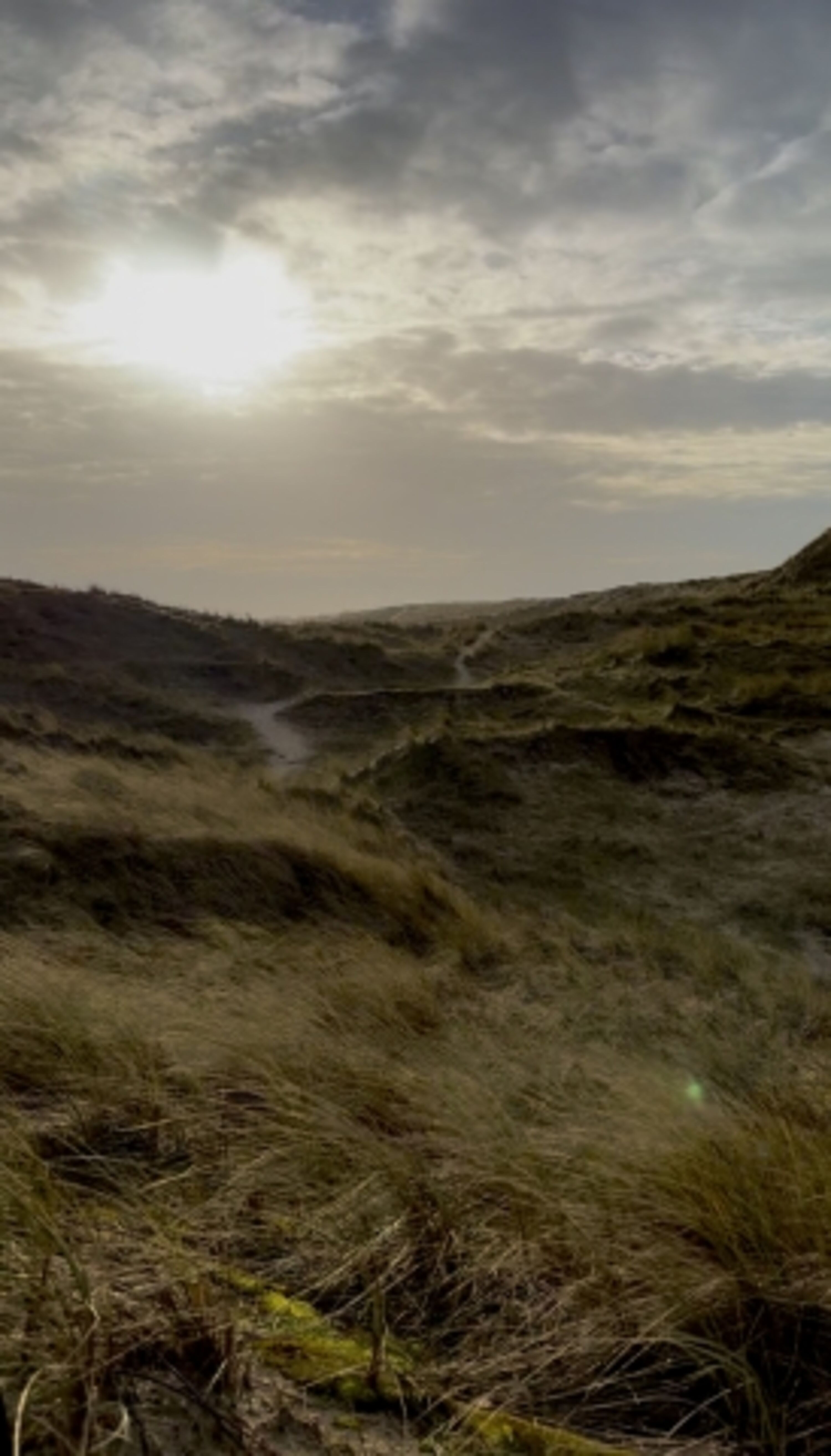 Dünen Spaziergang 