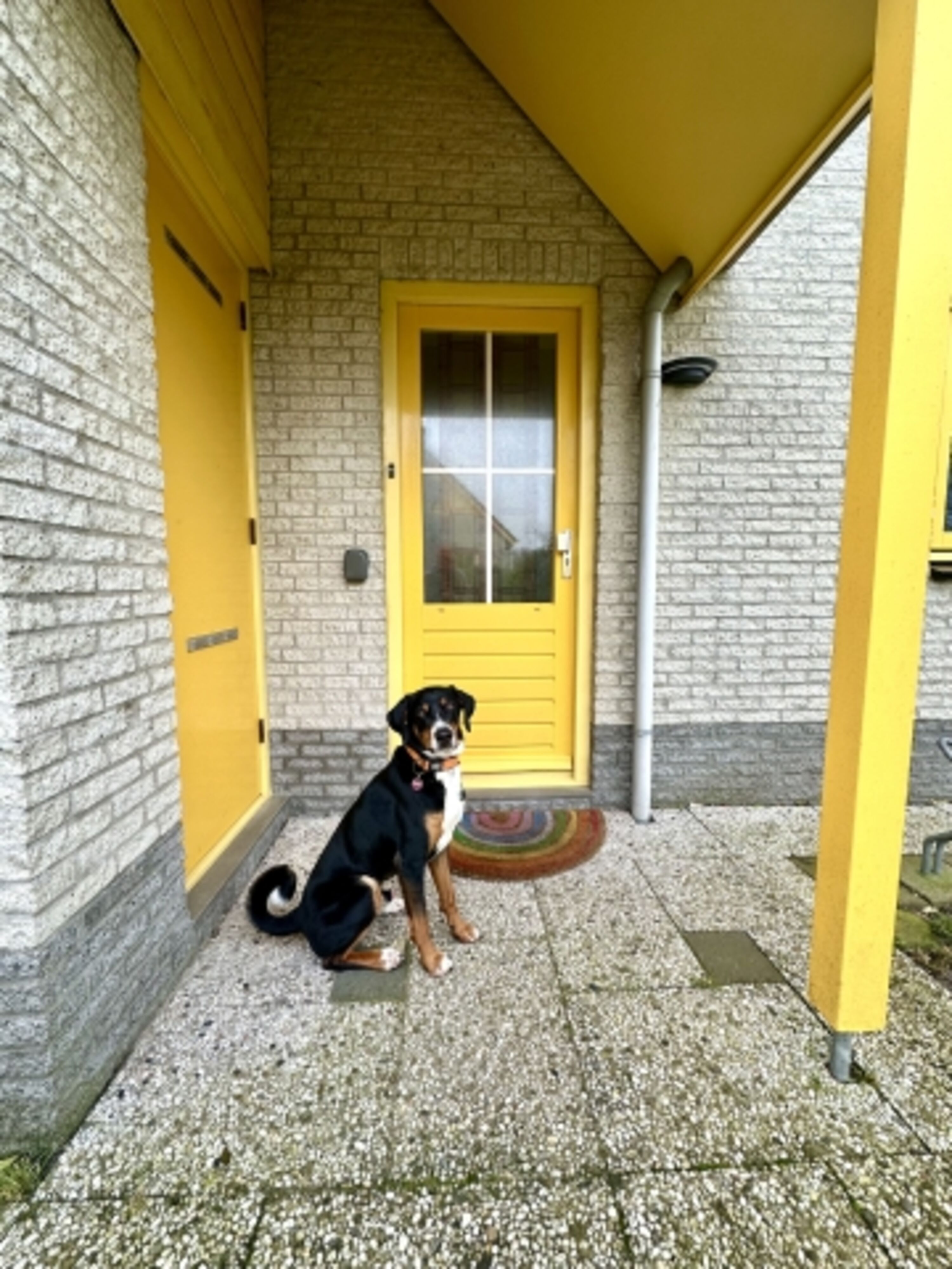 Haustür