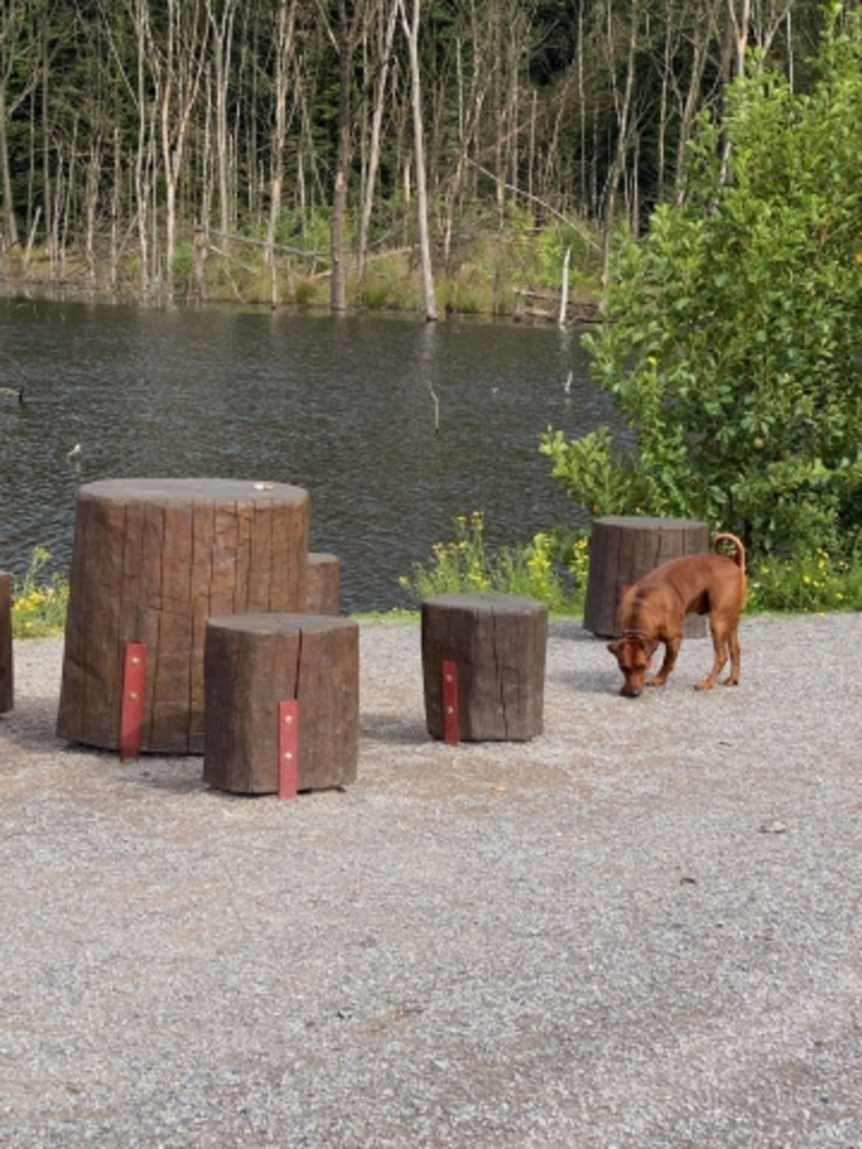 Umgebung 