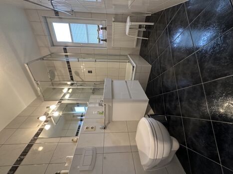 EG: Bad mit Dusche/WC, Waschtisch/Unterschrank