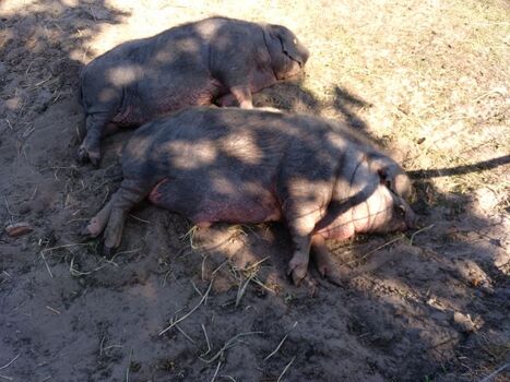 Wir lassen uns es gut gehen.