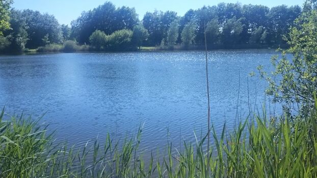 Unser Angelsee ist direkt am Haus