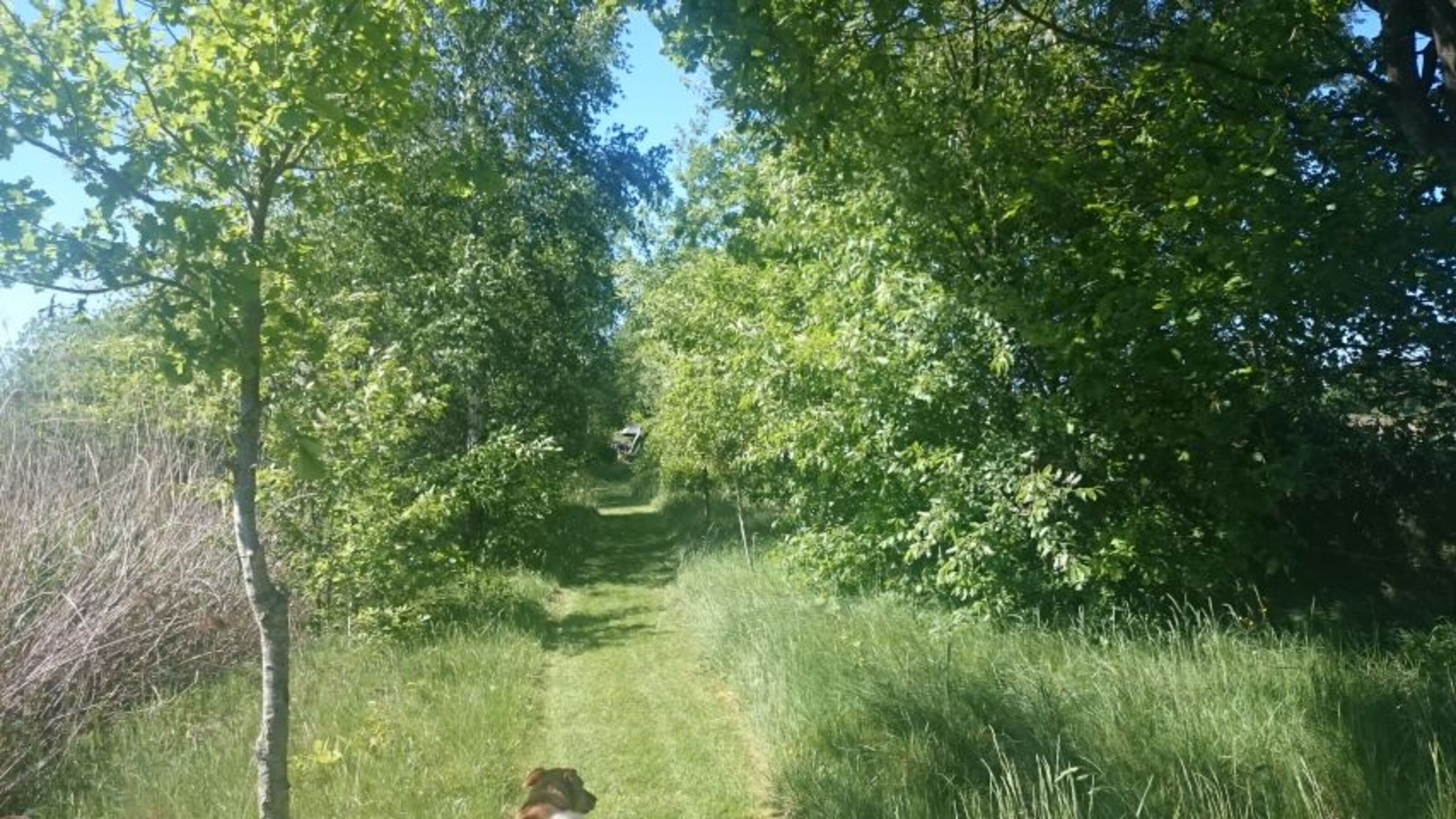 Natur pur