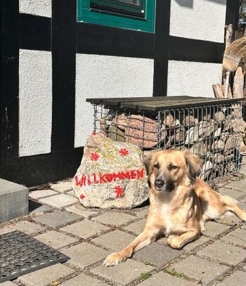 Ein herzliches Willkommen sendet Bloom