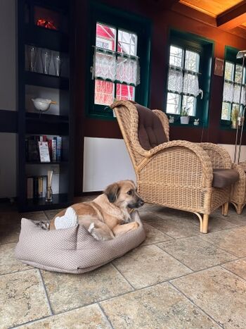 Bloom mit ihrem mitgebrachten Körben genießt die Zeit