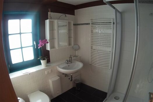 Dusche/WC im Erdgeschoss