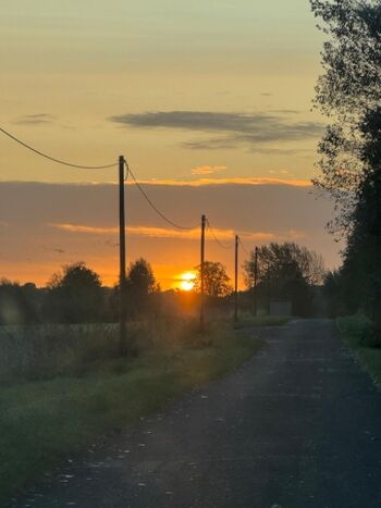 Sonnenaufgang über den Feldern
