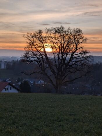 Abendstimmung am Haus