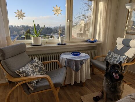 liebevoll gestalteter Wohnraum