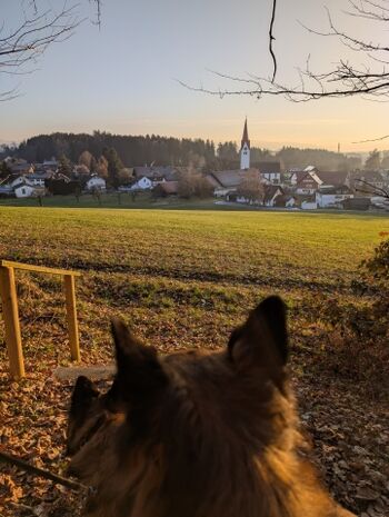 Gassi direkt vom Haus aus