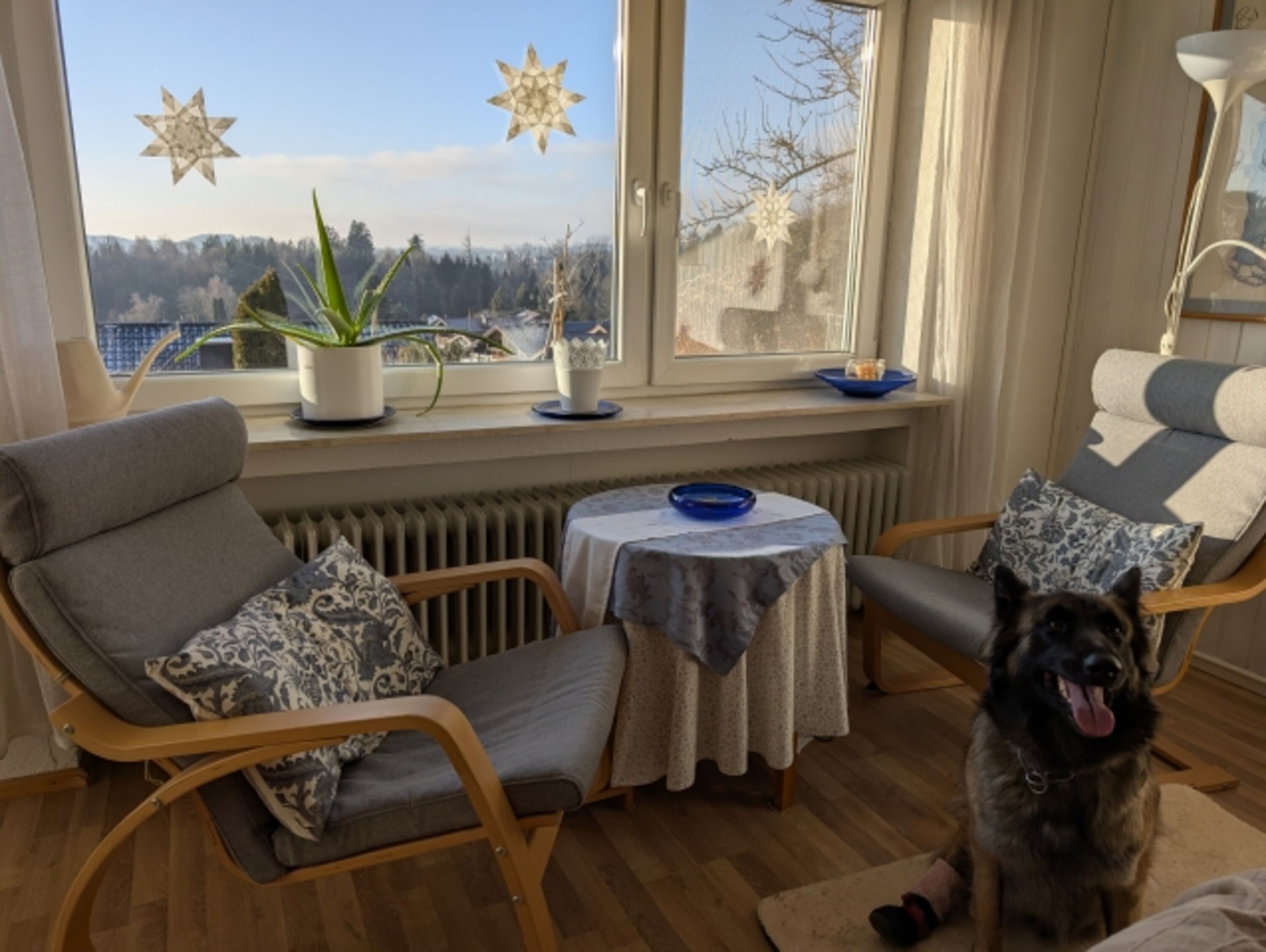 liebevoll gestalteter Wohnraum
