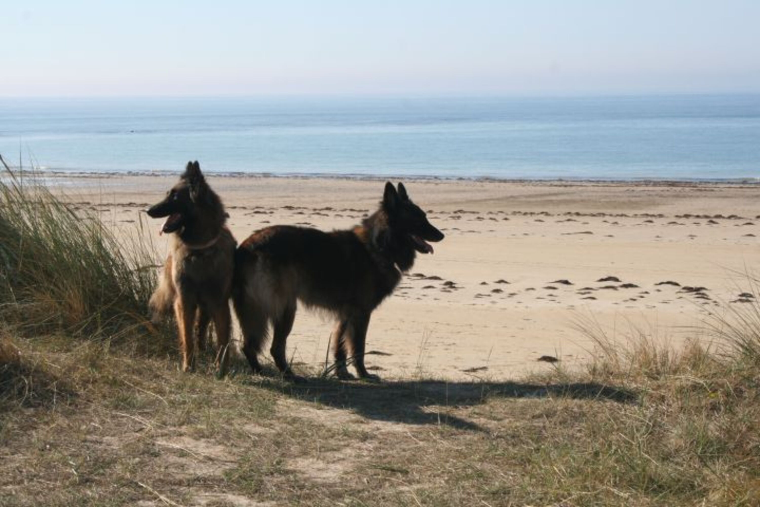 Bild 22