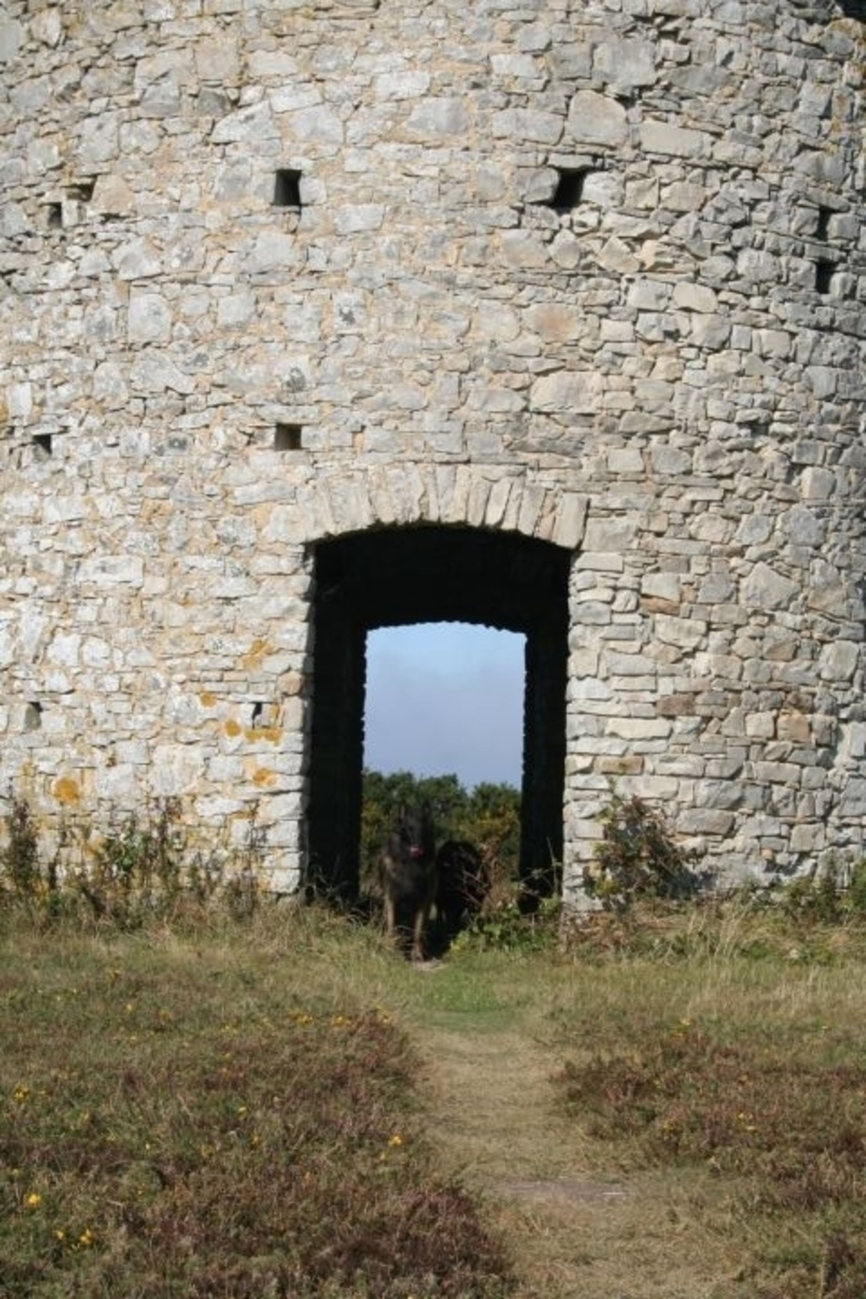in der Umgebung