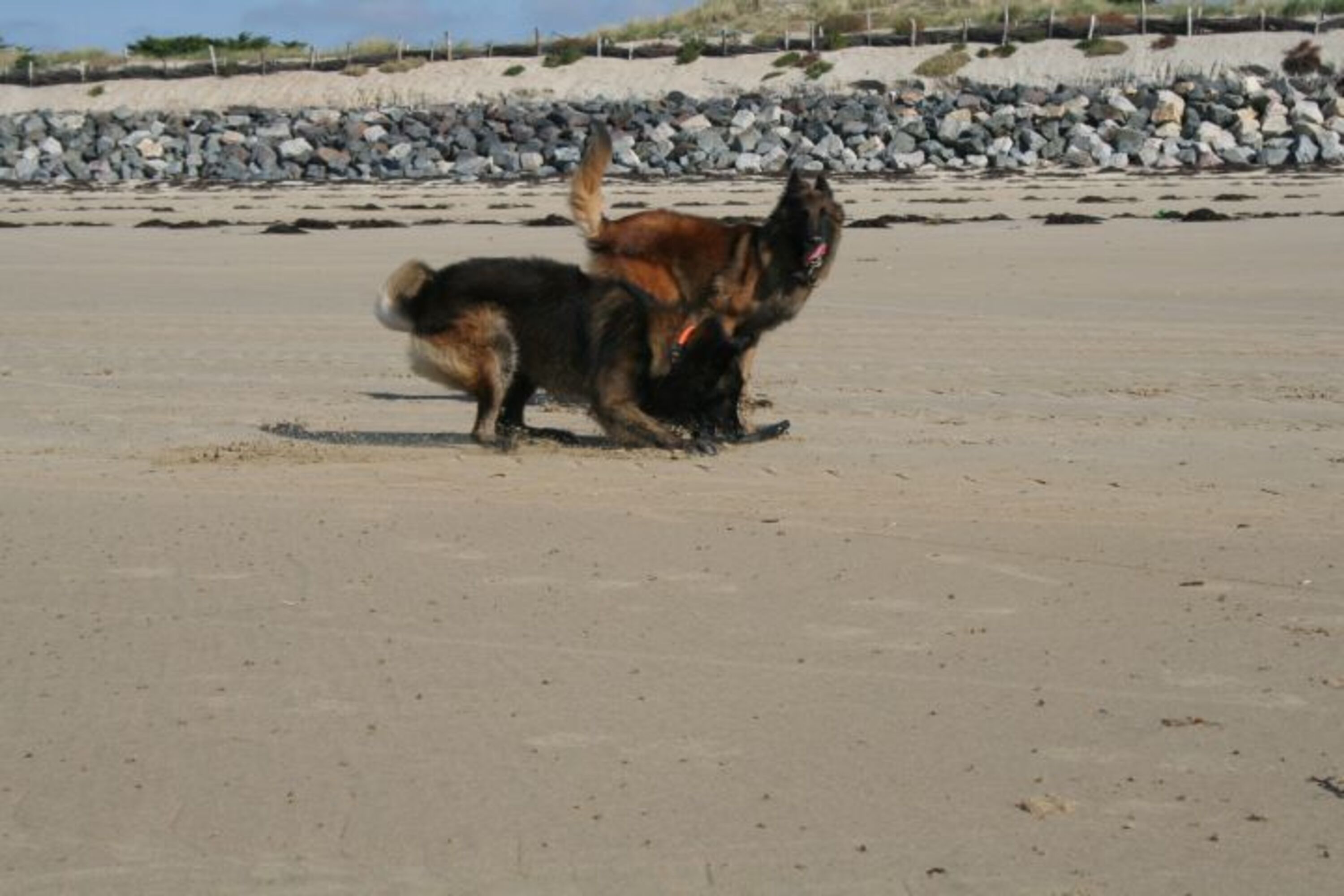 Bild 23