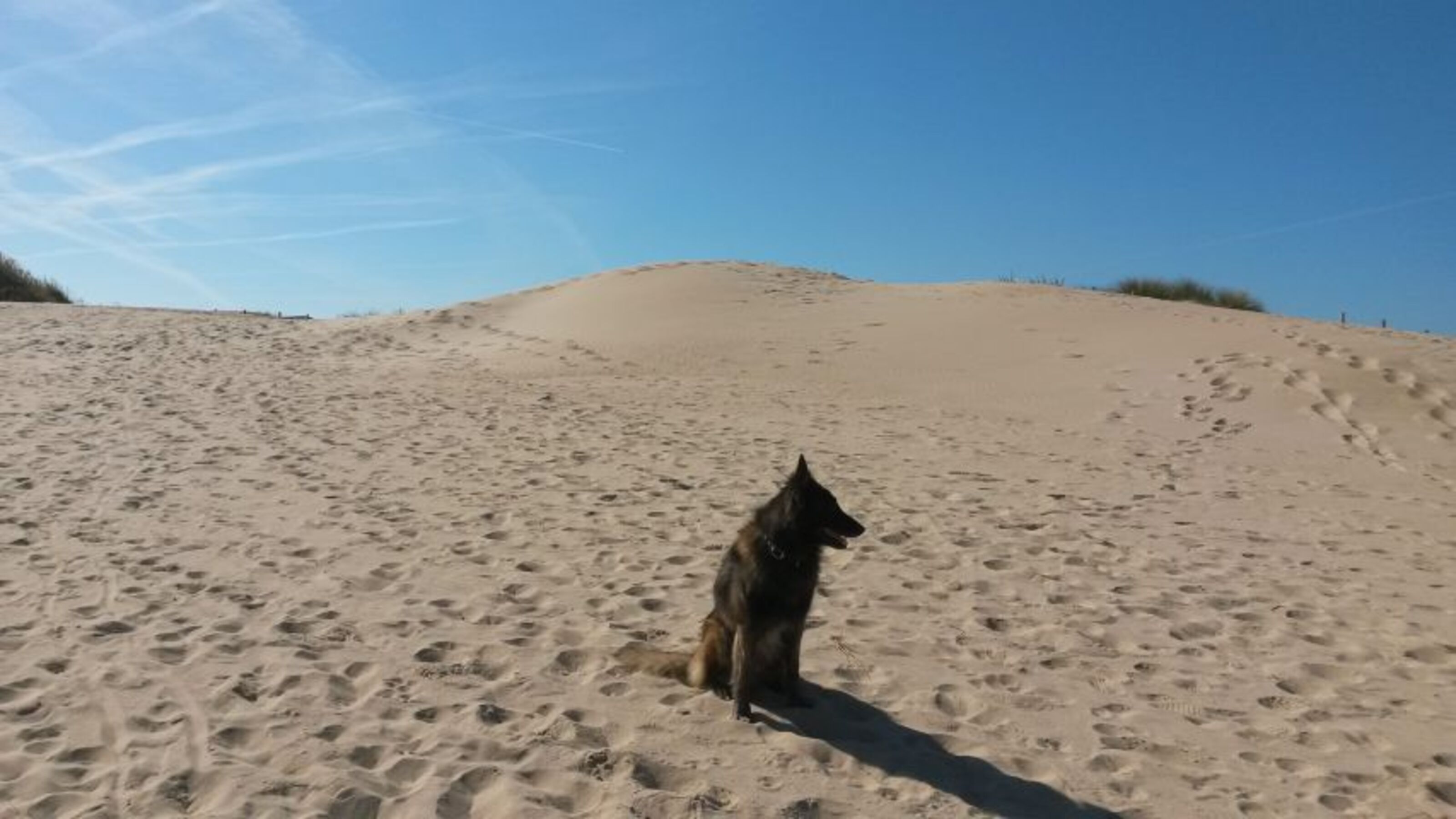 Bild 16
