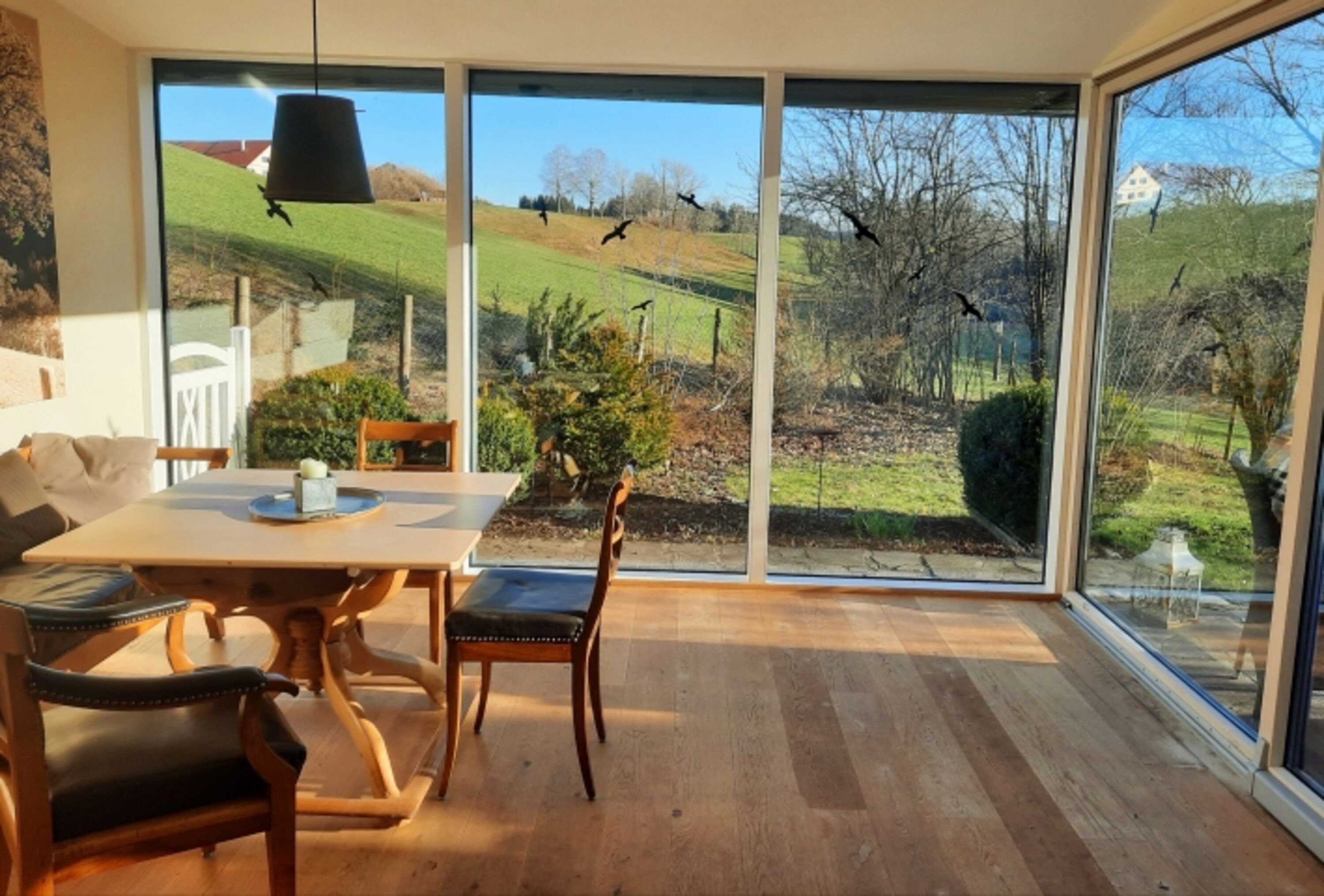 Bild 15