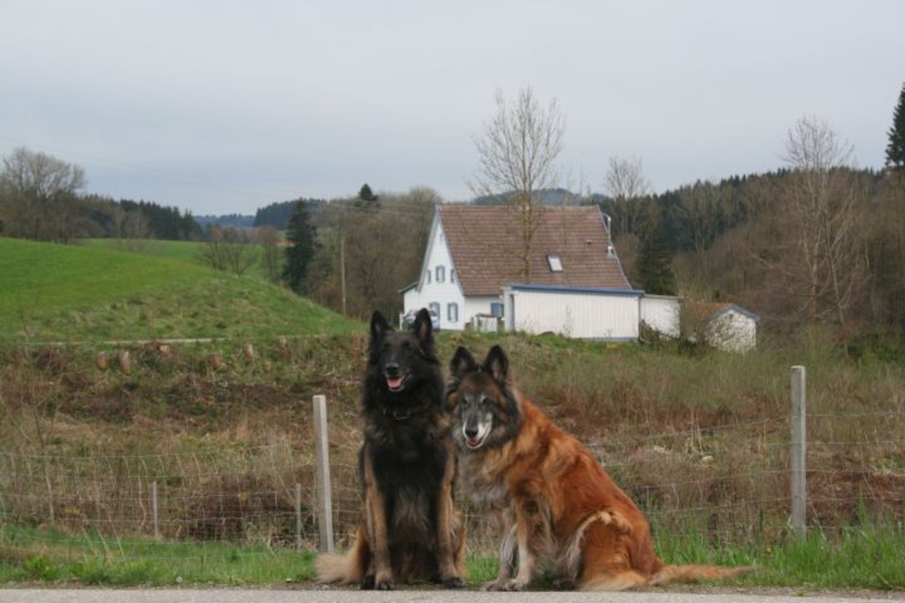 Bild 2
