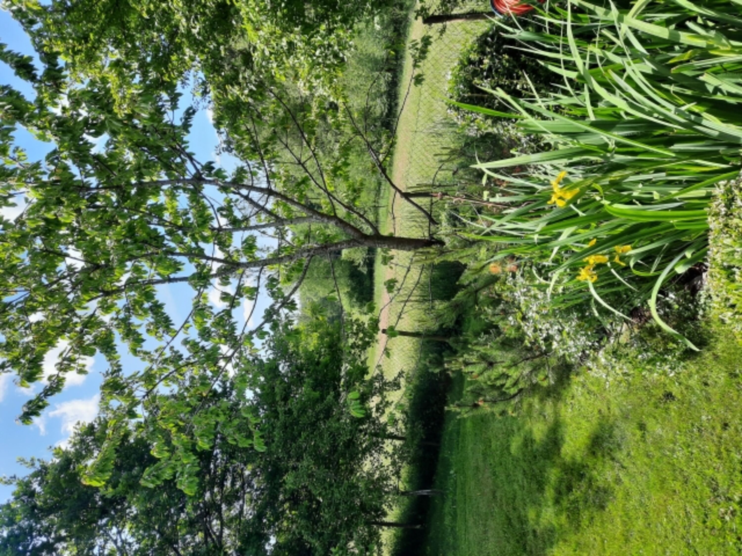 Bild 12