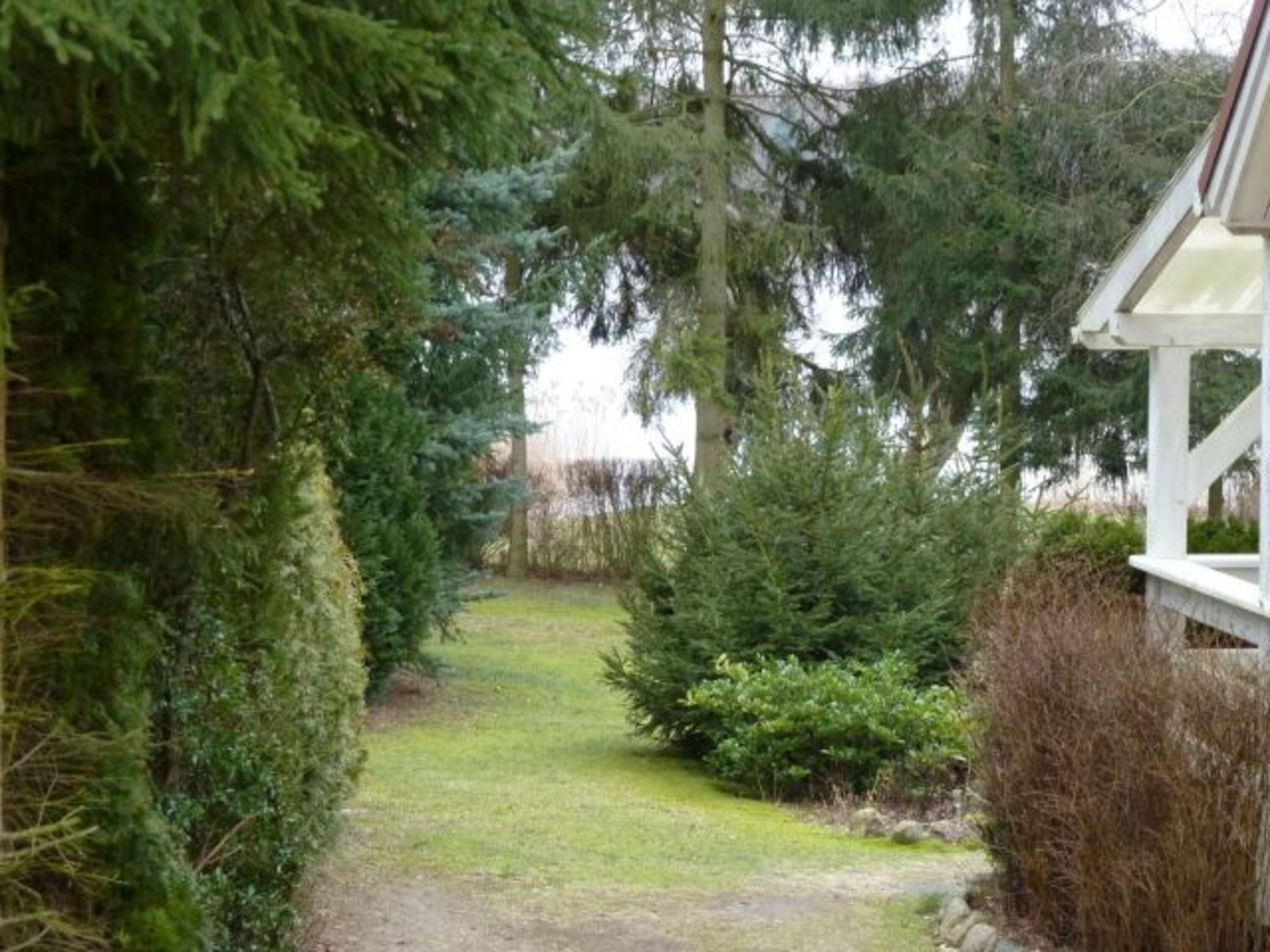 Bild 19