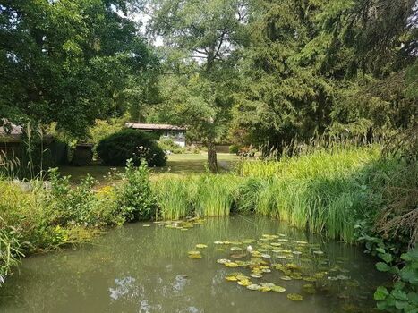 Blick vom Karpfenteich zum Haus