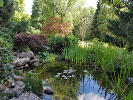 Goldfischteich bei der Terasse