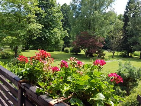 Blick vom Balkon in den Garten
