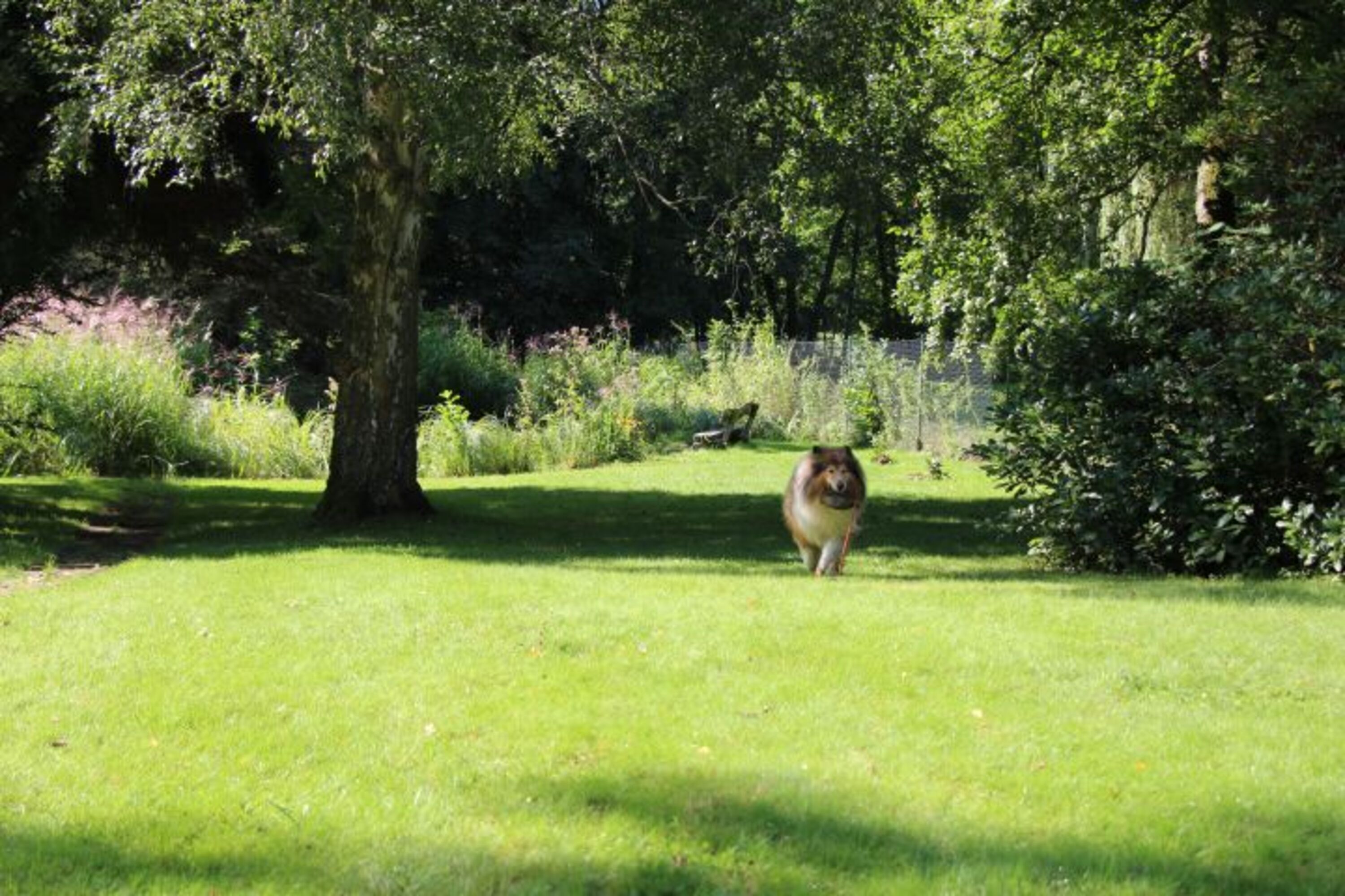 Bild 24