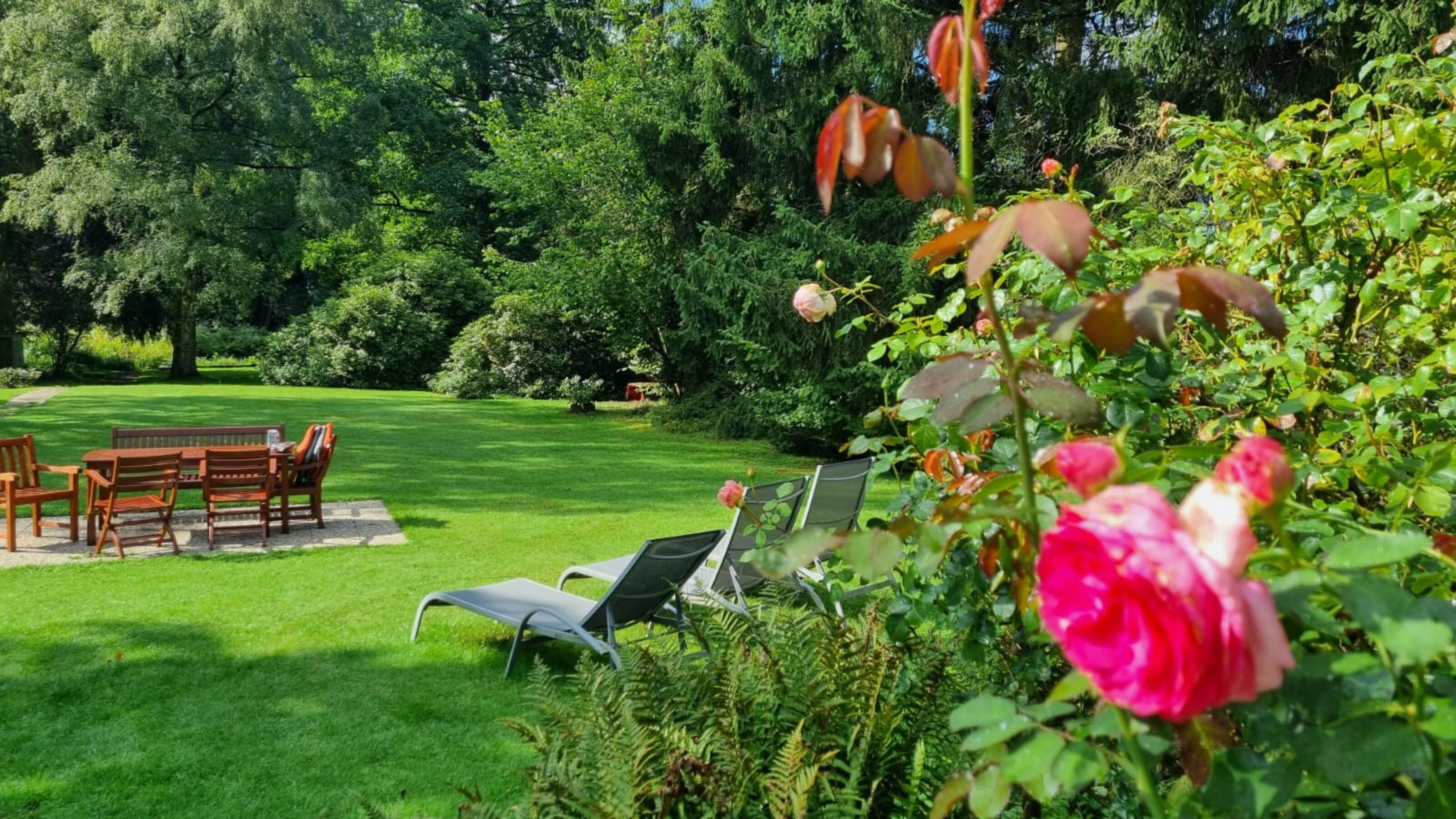 Blick in den Garten