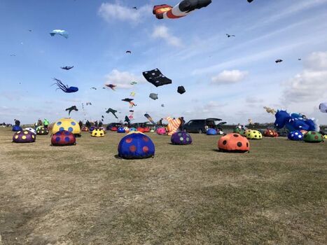 Zu Ostern werden wieder die Drachen losgelassen