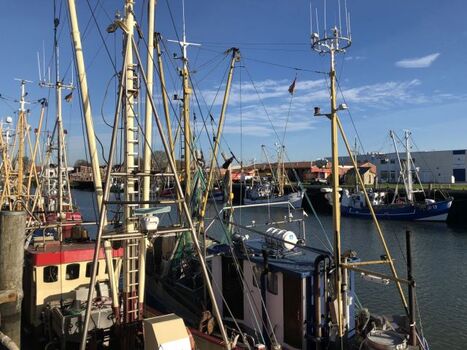 Das typische Bild von Büsum - die Krabbenkutter